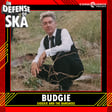 In Defense of Ska Ep 203: Budgie (The Slits, Siouxsie and the Banshees) image