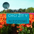 🔒 #79 Bonusový díl - Chci žít v Nizozemí - jak na to? image