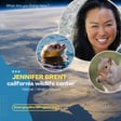  Jennifer Brent | On the California Wildlife Center's taking responsibility for the protection of native wildlife through rehabilitation, education and conservation (ENCORE s2.7) image