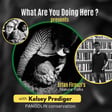 Kelsey Prediger | On The Pangolin | s4.2 image