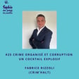 #25 Crime organisé et corruption, un cocktail explosif avec Fabrice Rizzoli (Crim’Halt) image