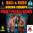 Canelo Alvarez vs Terence Crawford 🥊 Boxing Champs Fight Picks & News image