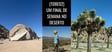 (T08E02) Um final de semana no deserto image