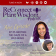 Ep.113 Meeting the Gaze of a Wild Being with Eleanor O'Hanlon image