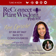 Ep.108 My Way Back to Consciousness with Bonnie D'Arcangelo  image