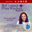 Ep.62 Plant Spirit Medicine with Patrick Hanaway image