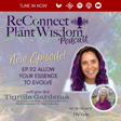 Ep.112 Allow Your Essence to Evolve with Elly Yule image
