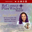 Ep.114 Healing the Original Trauma: Disconnection with Julie Brams image