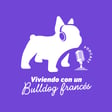 Viviendo con un Bulldog Francés ft. David Pozo image