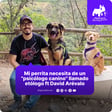 Especial: Mi perrita necesita de un "psicólogo canino" llamado etólogo ft David Arévalo  image