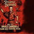 The Best of Bruce Campbell: Evil Dead, Burn Notice & B-Movie Royalty image