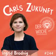 #244 Ingrid Brodnig - Die gezielte Zerstörung öffentlicher Debatten image