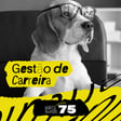 Gestão de Carreira - GRIDS #75 image