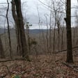 Ambient Audio: Sounds from a Backroads Valley in Rural Tennessee image