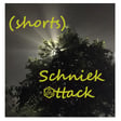 Schniekattack-Shorts: Wie man einen Feendrachen ruft ... image