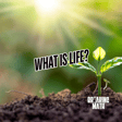 What is Life? image