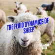 The Fluid Dynamics of Sheep image