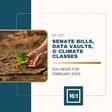 Senate Bills, Data Vaults, & Climate Classes image