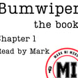BUMWIPER the book - chapter 1 | Mark MI Words #PTSD #bumwiper image