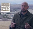 Ep 35 - Bill Hilf - American Prairie Chairman image