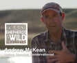 Ep 38 - Andrew McKean image