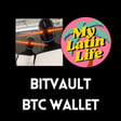 Self-Custody Your Bitcoin with BitVault | My Latin Life Podcast 297 🌴 image