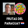 Get Permanent Residency in Paraguay with the SUACE Program | My Latin Life Podcast 288 🌴 image