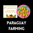 Passive Income Investing with Paraguay Farming 🇵🇾  image