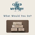 What Would You Do: The Woman Who Lied (2023) by Claire Douglas image