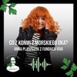 Co z tymi końmi z Morskiego Oka? Anna Plaszczyk z Fundacji Viva - odc. 109 image