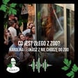 Co jest złego w zoo? Karolina Czechowska i Łukasz Musiał z Nie chodzę do zoo - odc. 103 image