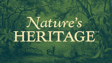 Nature’s Heritage Expands in Illinois: Cannabis Legacy, Edibles & Functional Mushrooms with Ryan Crandall image