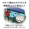 【後編】サロマ湖はホタテガイを何枚育ててくれるか？【ゲスト：妙にホタテに詳しいおじさん】 image