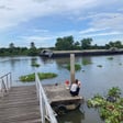 タイで魚を放流してきたよ image