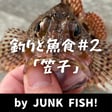 釣りと魚食#2「カサゴ（アラカブ）」【ゲスト：こーじ】 image