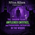 Tall Shadow Figures, Antler Entities and Paranormal Encounters in the Woods image