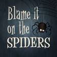 40. Blame it on the spiders image