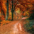 To everything there is a season - embracing the ever changing nature of life image