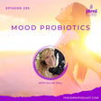 Episode 295 - Mood Probiotics with Sylvia Hall image
