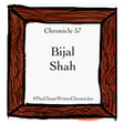 Bijal Shah: The Healing Power Of Stories image