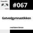 #067 Gotvedgymnastikken image