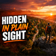 The Hidden Data Behind Human Trafficking in America image