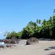 Episode 25 : Tricia Stapleton & Iris Nekelman: Ecoregeneration and community in Costa Rica : image