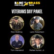 Veterans Day Panel: Cyber Journeys, Skills Transition, and Lessons Learned image