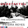 UNDETECTED Season 2: COMING SOON image