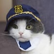 184: Pet Detectives Unit image