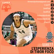 S08E11 | L'esperienza di Tibor Foco image