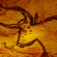 Neandertal, ¿más alto, más rápido, más fuerte?   image