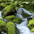 Nuestra Naturaleza ante el Calentamiento Global image