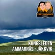 45. Ammarnäs - Jäkkvik (Kungsleden del 2) image